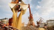Harina de soja: embarque de 30.000 toneladas parte hacia China, pero hay cautela por la sostenibilidad del mercado