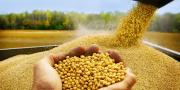 Destacan que exportaciones de derivados de soya, oro y castaña impulsaron el superávit positivo en mayo