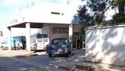Un perro atacó a una niña y le provocó lesiones graves en el rostro y en la cabeza