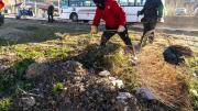 El Municipio construye un paseo peatonal en Máximo Abásolo
