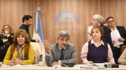 Logran dictamen para declarar la emergencia en el Hospital Garrahan