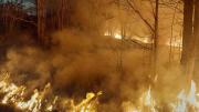 Incendio una chacra aledaña a Ruta 22: las llamas pusieron en peligro una escuela