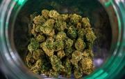 Potosí: Funcionaria publica es investigada por una narcoencomienda que contenía marihuana y que recibió en mano propia