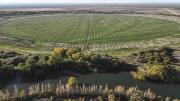 Negro Muerto, el emblema del nuevo horizonte agrícola de Choele