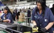 Informe lapidario: se perdieron casi 200.000 empleos formales desde que ganó Milei