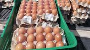 Venden huevos ingresados de contrabando 