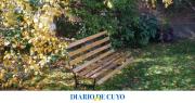 Cuidados del jardín en invierno: Las tareas de jardinería se centran en proteger las plantas del frío y preparar el jardín para la primavera