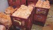 40 toneladas de pollo serán trasladadas a La Paz vía aérea