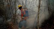 Focos de calor bajan a 81 en el país; Gobierno refuerza control y vigilancia