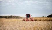 La nueva jugada de EE.UU.: Prohibición a inversores chinos en tierras agrícolas