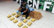 Descubren marihuana camuflada en encomienda en la Terminal Bimodal de Santa Cruz