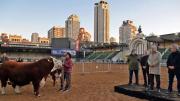Expo Rural 2025, fechas, precios y todo lo que hay que saber para estas vacaciones de invierno