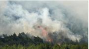Incendios en Francia forzaron evacuaciones