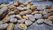 ¿Fin del pan de batalla? Panificadores amenazan con subir el precio o dejar de producirlo ante falta de harina subvencionada