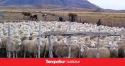 “A la Patagonia le mintieron y la dejaron sin status sanitario”