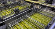 Una estrategia financiera que surcó los mercados alterados