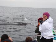 Pasión por las ballenas: biología atenta a las visitas más esperadas 