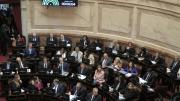 Sesión en el Senado contra la motosierra de Milei: jubilaciones, discapacidad y fondos para las provincias