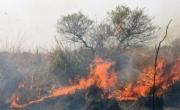 Incendios en Santa Fe: las quemas de pastizales están desbordadas por completo