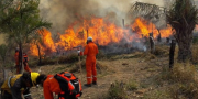 Auditoría forense revela que el 90% de los incendios forestales en Bolivia son provocados