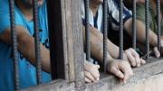 Sin datos, sin políticas, sin derechos: la exclusión de personas LGBT en las prisiones bolivianas