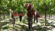 Los trabajadores rurales aseguran que la mesa de enlace ofrece salarios de miseria
