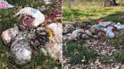 Descubrieron restos de once animales mutilados en Berazategui