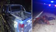 Grave accidente en la ruta nacional 9/34: una camioneta chocó con un caballo