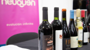 “Patagonia del Vino”, una cita con las mejores bodegas de la región