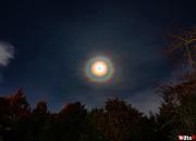 Luna del Ciervo: por qué un halo de luz envolvió a la luna este jueves por la noche