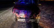 Tras un choque con una camioneta, murieron dos cabras que estaban en la Ruta 20