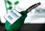 Presidente Arce asegura que con el biodiesel se puede dejar de importar el combustible para el 2027