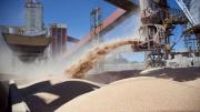 El precio del principal producto que exporta Argentina tocó su nivel más bajo en 15 años