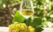 Llega el nuevo Chardonnay con historia y producción argentina: cómo es y en qué se destaca