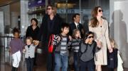 Brad Pitt busca una segunda oportunidad con sus hijos: Está desesperado