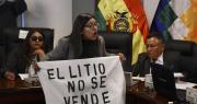 Pese a receso, legisladores anuncian que mantendrán vigilia en la ALP contra los contratos de litio