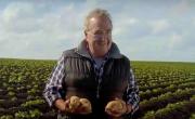 El derrumbe del precio de la papa golpea a productores de todo el país