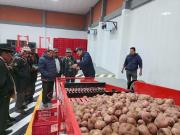 Silos de Achacachi acopiarán 300 toneladas de semillas de papa y beneficiarán a más de 600 familias
