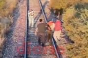 Detienen en las vías a peligroso sujeto acusado de abuso gravemente ultrajante