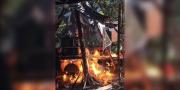 La Umopar incinera un laboratorio de cristalización de cocaína en el Chapare