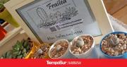 Frailea, el emprendimiento que cultiva cactus y suculentas en Río Gallegos