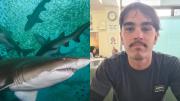El impresionante rescate de un surfista en Australia, sobrevivió más de 18 horas en el mar rodeado de tiburones