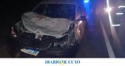 Animales sueltos en la ruta: grave accidente en el ingreso de la Mina Gualcamayo