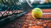 De qué color es la pelota de tenis y por qué nadie se pone de acuerdo