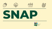 Pagos SNAP Florida: beneficiarios que reciben dinero del 15 al 21 de julio