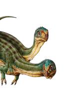 Un viaje al pasado con 13 dinosaurios y megamamíferos en San Martín de los Andes