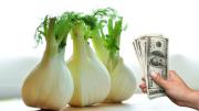 Atrae a tu vida abundancia financiera usando solamente un poco de hinojo