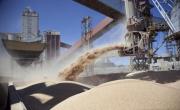 La principal exportación, con el precio por el piso