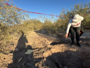 (VIDEO) Madres buscadoras hallan fosas con restos humanos y más de 200 prendas en norte de México