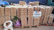 En Chile decomisan más de un millón de huevos provenientes de Bolivia